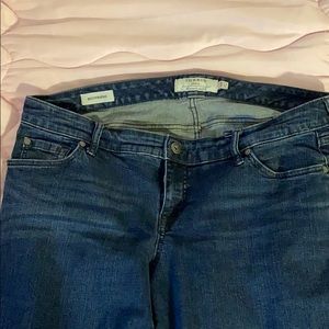 Dark Blue Torrid Jeans